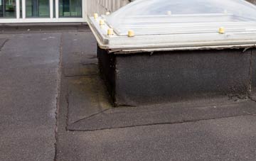 disadvantages of Street Dinas flat roofs