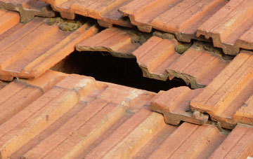 roof repair Street Dinas, Shropshire