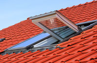 Street Dinas roof window